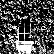 Phoill