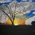 100_0591_tiny_square