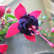 Img_6172_card