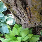Img_6167_card