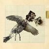 Bio_bird-a-web_thumb