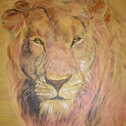 Sunset_lion_card