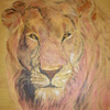 Sunset_lion_thumb