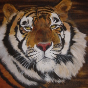 Tiger_card
