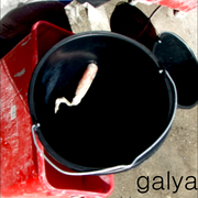 Dscf5022_copy_card