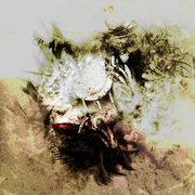 Begotten_card