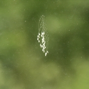 Img_1185_card