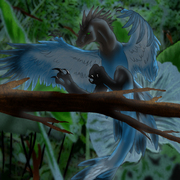 Dragonbird_card