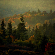 Grandfather_mountain_card