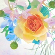 100_0294_card