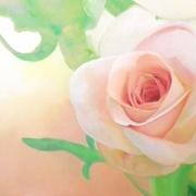 100_0199_card