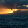 Dsc_0487_thumb