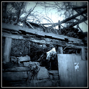 ______3449-1_card