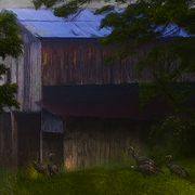Around_the_barn_card