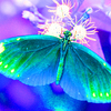 Web_32_thumb