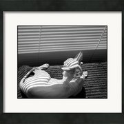 Renderer-27