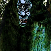 Longhairfinal_card