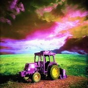 Pinktactor_card