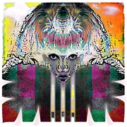 Furrfinal_card