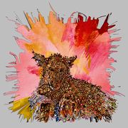 Pinklionprintsmall_card