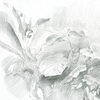 2007_grass_graphite_4