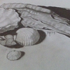 Beach_treasure-l_thumb