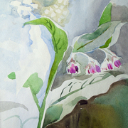 2007-grass-flowers4