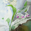 2007-grass-flowers4