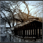 ______3399-1_card