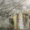 2007-bitsa-shores4
