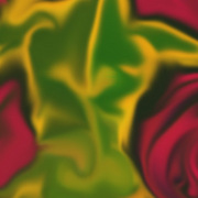 Rose_bed_card