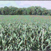 Farm-0254_card