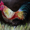 Cropped_rooster_thumb