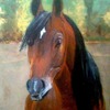 Oliver2_thumb