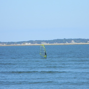 Windsurfer2011_card