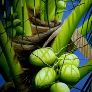 Coconut_card