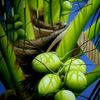Coconut_thumb