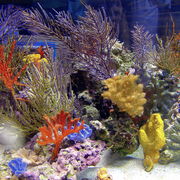5-26-2006-067_card