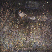 Save_piping_plovers_card