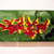 P1010013_tiny_square