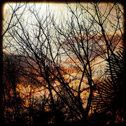 1068945-1-its-like-a-jungle-sometimes_watermark_card