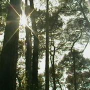 Imga0227_card