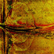 C_card
