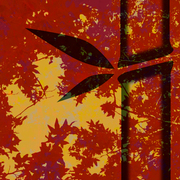 Bambooscene_card