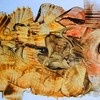 Art_web_thumb