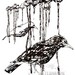 Untitled_-_5-bsd_square