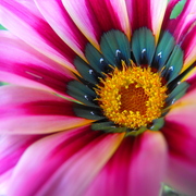 Dscf4210_card