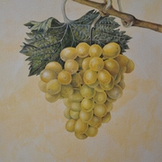 Verano_2011_110_card