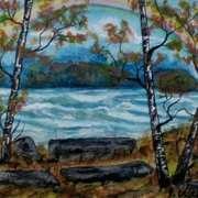 Gedc0009_card