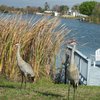 100_0162_thumb